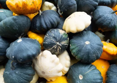 Calabaza patisson - Veigaverde