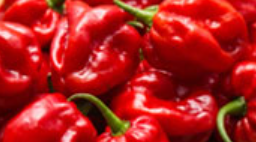 Pimiento habanero ud - Veigaverde