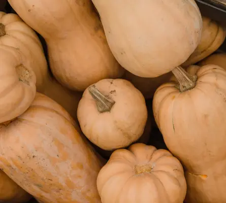 Calabaza cacahuete - Veigaverde